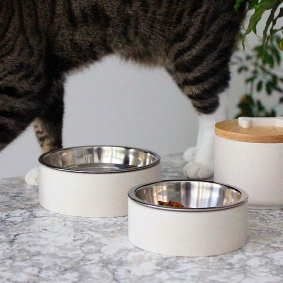 pet bowls single