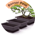 bonsai_pots